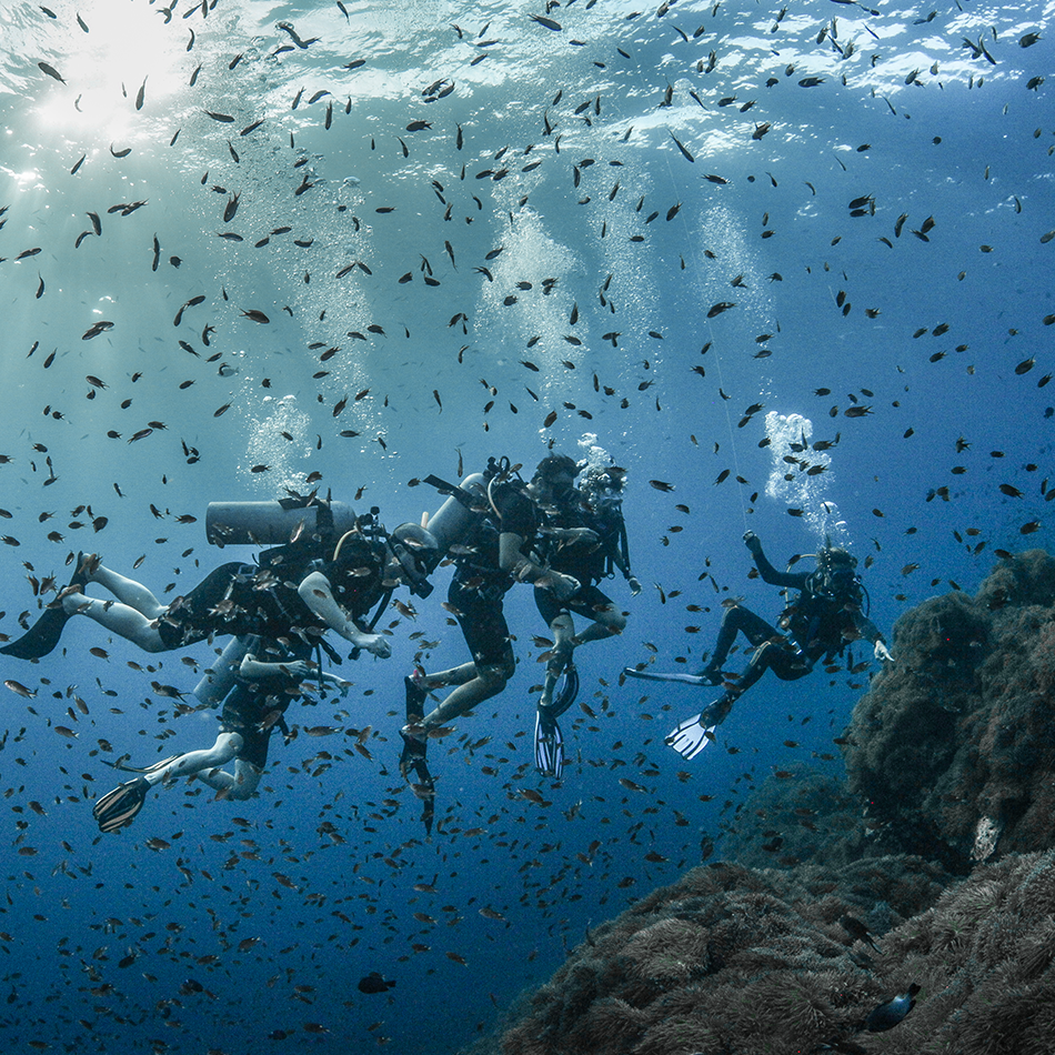Open Water Course - dive 3 | Scuba Shack Koh Tao