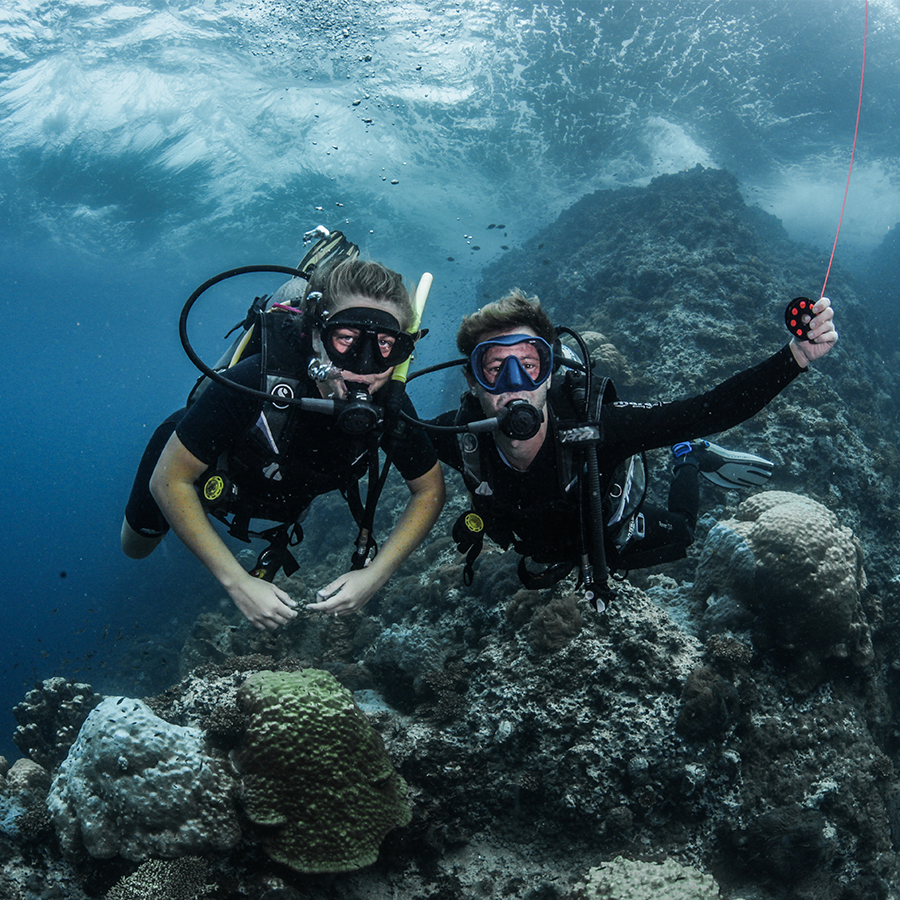 Scuba Diving at Chumphon Pinnacle | Scuba Shack