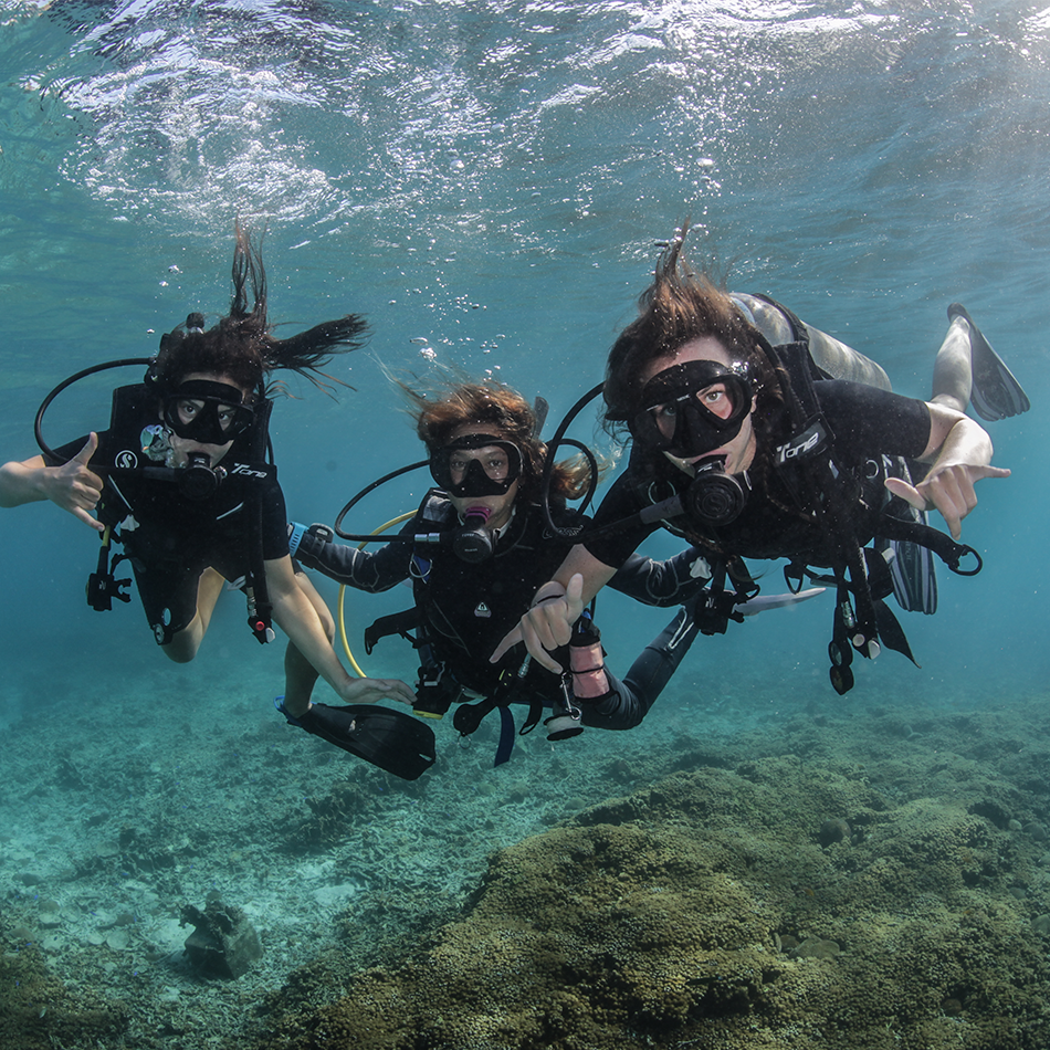 Open Water Course dive 1 and 2 | Scuba Diving Koh Tao
