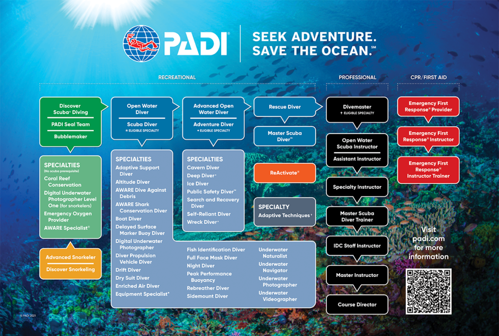 Padi Flowchat | Scuba Shack Koh Tao, Thailand
