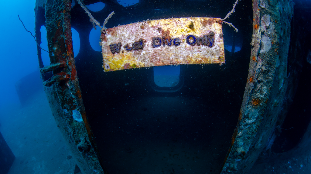 PADI Specialty - Wreck Diver | Scuba Shack Koh Tao, Thailand