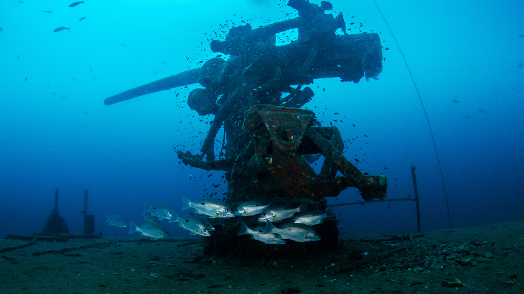 Sattakut Wreck Koh Tao - PADI Specialty | Scuba Shack